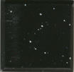 811.jpg (16565 字节)